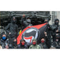Bandeira Antifa-4Evah Young